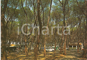 Cartolina originale da collezione 1976 SAN VINCENZO LI Camping LA TORRACCIA Cartolina VINTAGE FG VG 1