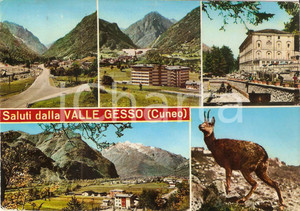 Cartolina originale da collezione 1969 VALLE GESSO CN Vedutine Terme di VALDIERI Entracque Cartolina FG VG 1