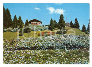 Cartolina originale da collezione 1965 GRAMADO BRASIL Giardino di ortensie al RIO GRANDE DO SUL Cartolina FG VG 1