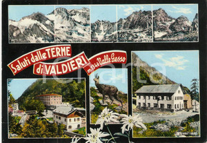 Cartolina originale da collezione 1970 ca VALDIERI CN Stazione termale Vedutine Cartolina FG VG 1