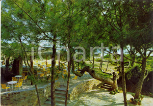 Cartolina originale da collezione 1977 CASTIGLIONE DELLA PESCAIA GR Residence Hotel ROCCAMARE Cartolina FG VG 1