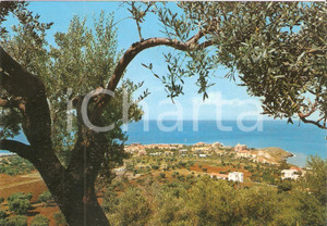 Cartolina originale da collezione 1980 ca DIAMANTE CS Panorama della frazione CIRELLA Cartolina FG NV 1