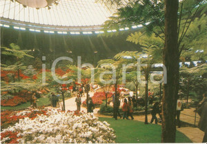 Cartolina originale da collezione 1991 GENOVA Fiera EUROFLORA Esposizione internazionale del fiore Cartolina FG NV 1