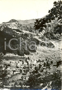 Cartolina originale da collezione 1966 CAMPODOLCINO SO Veduta della frazione FRACISCIO nella Valle SPLUGA FG VG 1