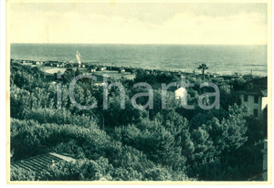 Cartolina originale da collezione 1938 MARINA DI PIETRASANTA (LU) Veduta pineta sul mare *Cartolina FG VG 1