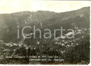 Cartolina originale da collezione 1957 BADIA PRATAGLIA AR Panorama visto dai Mandrioli Cartolina FG VG 1