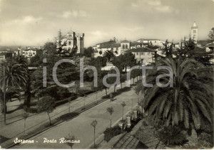 Cartolina originale da collezione 1952 SARZANA (SP) Scorcio su viale MAZZINI da Porta ROMANA *Cartolina FG VG 1