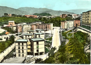 Cartolina originale da collezione 1965 CATANZARO Viale SAN PIO X nel rione PONTEPICCOLO  Cartolina ANIMATA FG VG 1