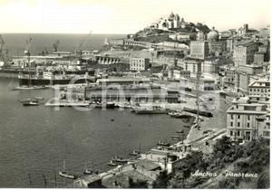 Cartolina originale da collezione 1950 ca ANCONA Veduta panoramica della cittÃ  e del porto *Cartolina FG NV 1