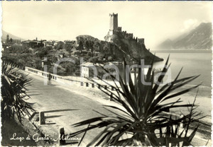 Cartolina originale da collezione 1951 MALCESINE VR Scorcio lago GARDA con castello scaligero  Cartolina FG VG 1