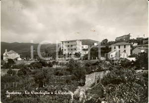 Cartolina originale da collezione 1957 SPOTORNO (SV) Veduta castello e casa vacanze CONCHIGLIA *Cartolina FG VG 1