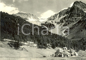 Cartolina originale da collezione 1955 ca STELVIO BZ Veduta del Grand Hotel SULDEN a SOLDA Cartolina FG VG 1
