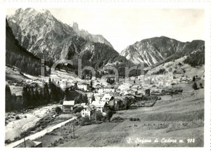 Cartolina originale da collezione 1951 SANTO STEFANO DI CADORE (BL) Panorama della valle *Cartolina postale FG VG 1