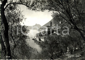 Cartolina originale da collezione 1950 ca VALSODA (CO) Scorcio frazione ALBOGASIO sul Lago di LUGANO *Cartolina NV 1