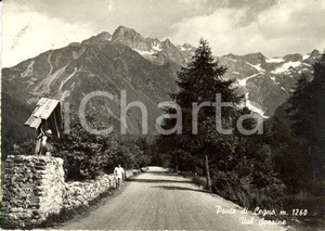Cartolina originale da collezione 1961 PONTE DI LEGNO (BS) Val SOZZINE Strada per paese *Animata DANNEGGIATA 1