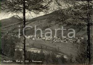 Cartolina originale da collezione 1953 PRAGELATO (TO) Veduta della frazione RUA' *Cartolina postale FG VG 1