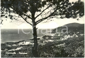 Cartolina originale da collezione 1953 LIVORNO Panorama dall'alto della frazione QUERCIANELLA *Cartolina FG VG 1