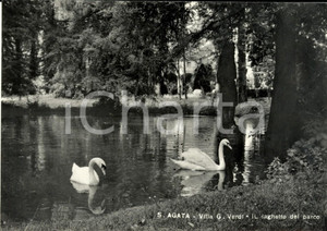 Cartolina originale da collezione 1965 SANT AGATA PR Il laghetto del parco Villa Giuseppe VERDI Cartolina FG NV 1