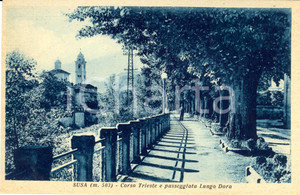 Cartolina originale da collezione 1940 ca SUSA (TO) Corso TRIESTE e passeggiata lungo la DORA *Cartolina (1) 1