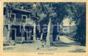 Cartolina originale da collezione 1948 SPOLETO PG Veduta della frazione MONTELUCO Cartolina ANIMATA FP VG 1