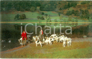Cartolina originale da collezione 1970 ca CONISTON UK Cacciatori con muta di cani a RYDAL WATER Cartolina FP NV 1