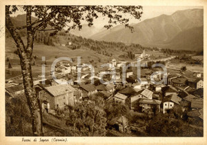 Cartolina originale da collezione 1959 FORNI DI SOPRA (UD) CARNIA Veduta panoramica del paese *Cartolina FG VG 1