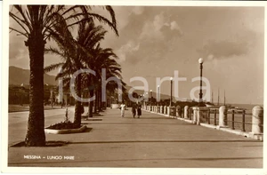 Cartolina originale da collezione 1940 ca MESSINA Palmizi sul lungomare Cartolina postale ANIMATA FP NV 1