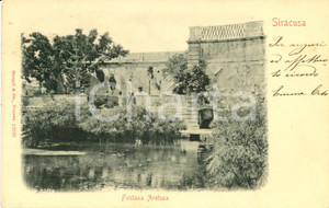 Cartolina originale da collezione 1902 SIRACUSA Veduta della Fonte ARETUSA sull'Isola di ORTIGIA *Cartolina FP VG 1