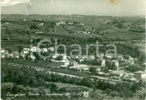 Cartolina originale da collezione 1955 CONEGLIANO (TV) Panorama generale dei colli *Cartolina FG VG 1