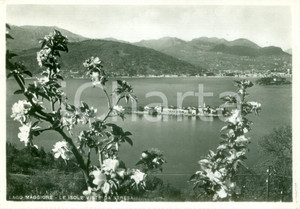 Cartolina originale da collezione 1953 LAGO MAGGIORE Le isole viste da STRESA Cartolina FG VG 1