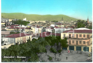 Cartolina originale da collezione 1967 SANSEPOLCRO (AR) Veduta panoramica del paese *Cartolina FG VG 1
