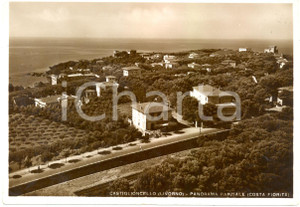 Cartolina originale da collezione 1955 ca CASTIGLIONCELLO (LI) Veduta panoramica Costa FIORITA *Cartolina FG NV 1