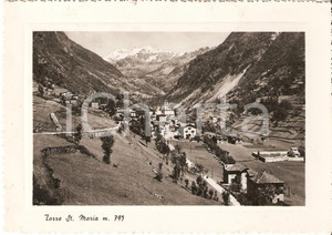 Cartolina originale da collezione 1972 TORRE DI SANTA MARIA (SO) Panorama *Cartolina FG VG 1