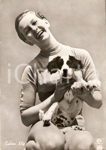 Cartolina originale da collezione 1950 ca CINEMA Actress Taina ELG Portrait with dog *Cartolina FG NV 1