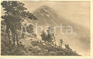 Cartolina originale da collezione 1910 ca A. YOUNG Pastore con gregge di pecore *Cartolina postale FP VG 1