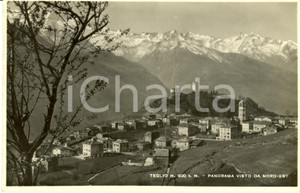 Cartolina originale da collezione 1950 TEGLIO SO Veduta panoramica del paese da nordest  Cartolina FP VG 1