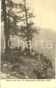 Cartolina originale da collezione 1919 BARDONECCHIA TO Studio sulle alture Cartolina FP VG DANNEGGIATA 1