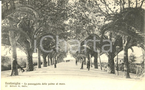 Cartolina originale da collezione 1920 ca VENTIMIGLIA (IM) La passeggiata delle palme al mare *Cartolina FP NV 1