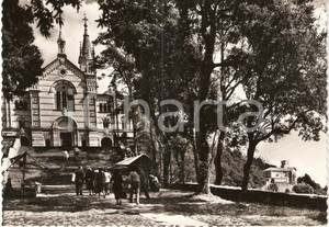 Cartolina originale da collezione 1960 ca RAPALLO GE Pellegrinaggio al Santuario di MONTALLEGRO Cartolina 1