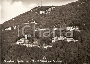 Cartolina originale da collezione 1950 ca SPOLETO Frazione MONTELUCO (PG) Villini con la croce *Cartolina FG NV 1