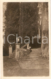 Cartolina originale da collezione 1930 ca FIESOLE FI Scalinata d ingresso Villa SAN GIROLAMO Cartolina FP VG 1