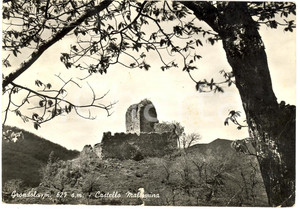 Cartolina originale da collezione 1964 PONTREMOLI (MS) Castello MALASPINA a GRONDOLA FG 1