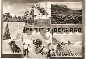 Cartolina originale da collezione 1958 PICCOLO S.BERNARDO (AO) Vedutine del Piccolo S.Bernardo *Cartolina FG VG 1