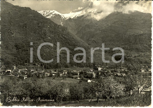 Cartolina originale da collezione 1952 BOBBIO PELLICE (TO) Panorama del paese *Cartolina postale FG VG 1