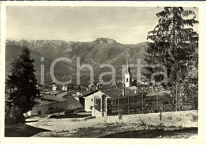 Cartolina originale da collezione 1954 COREDO (TN) Monte Peller *Cartolina postale FG VG 1