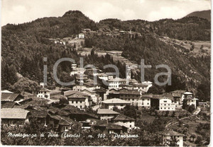 Cartolina originale da collezione 1972 MONTAGNAGA DI PINE' (TN) Panorama *Cartolina postale FG VG 1