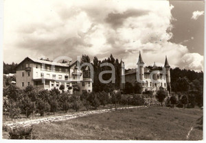 Cartolina originale da collezione 1960 COREDO (TN) Colonia Monopoli di Stato *Cartolina postale FG VG 1