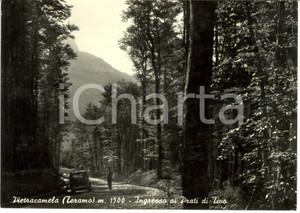 Cartolina originale da collezione 1957 PIETRACAMELA (TE) Ingresso di Prati di Tivo *Cartolina postale FG VG 1