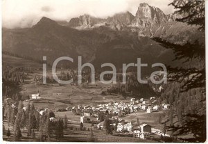 Cartolina originale da collezione 1955 FALCADE BL Frazione CAVIOLA con CIME D AUTA Panorama Cartolina FG VG 1