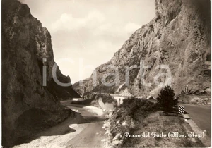 Cartolina originale da collezione 1956 PASSO DEL FURLO PU Scorcio panoramico Cartolina FG VG 1